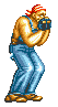 Fatal Fury